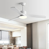 Modern fan light