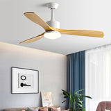 Modern fan light