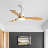 Modern fan light